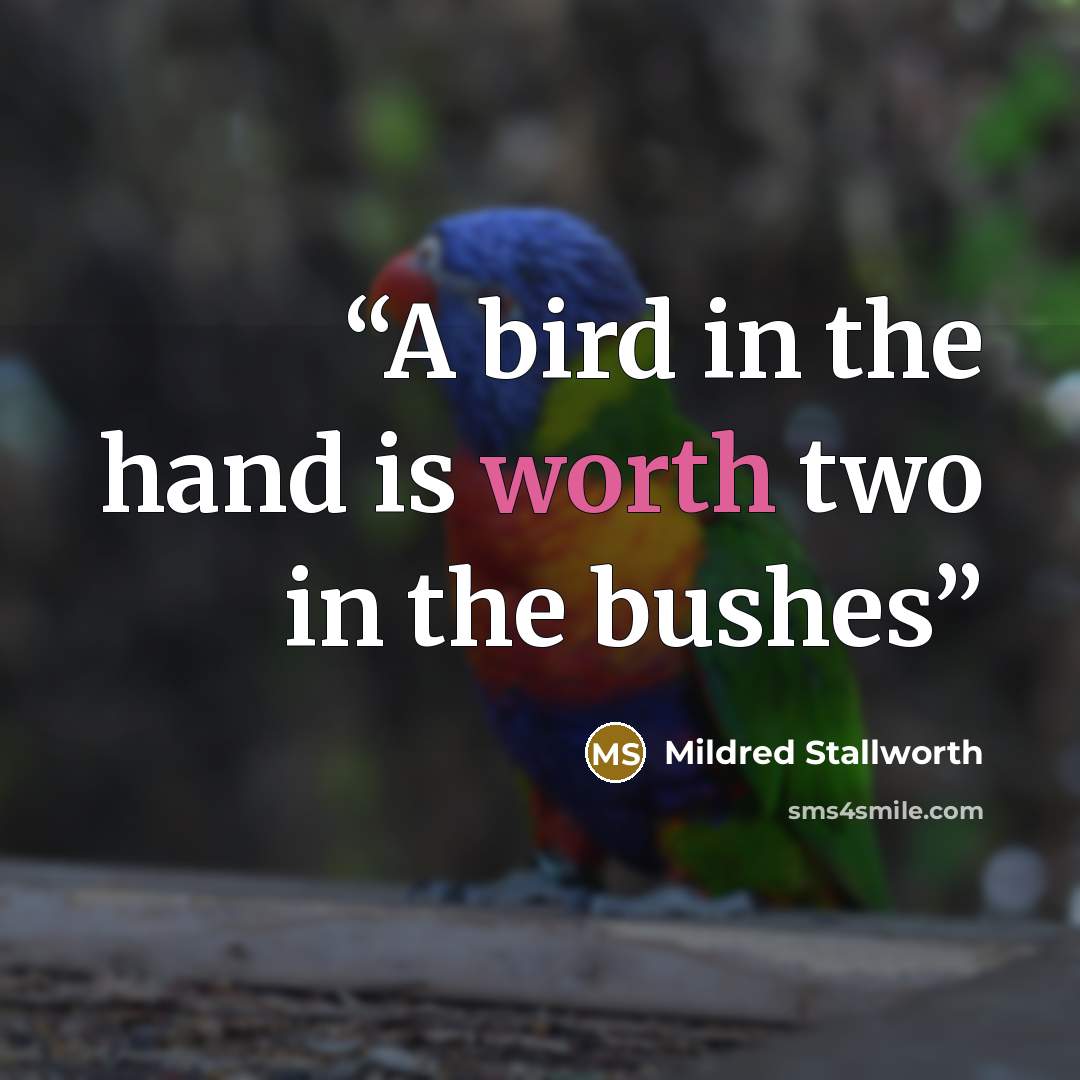 “A bird in the hand is worth two in the bushes” quote by Mildred Stallworth
