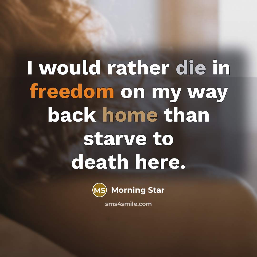 “I would rather die in freedom on my way back…” quote by Morning Star