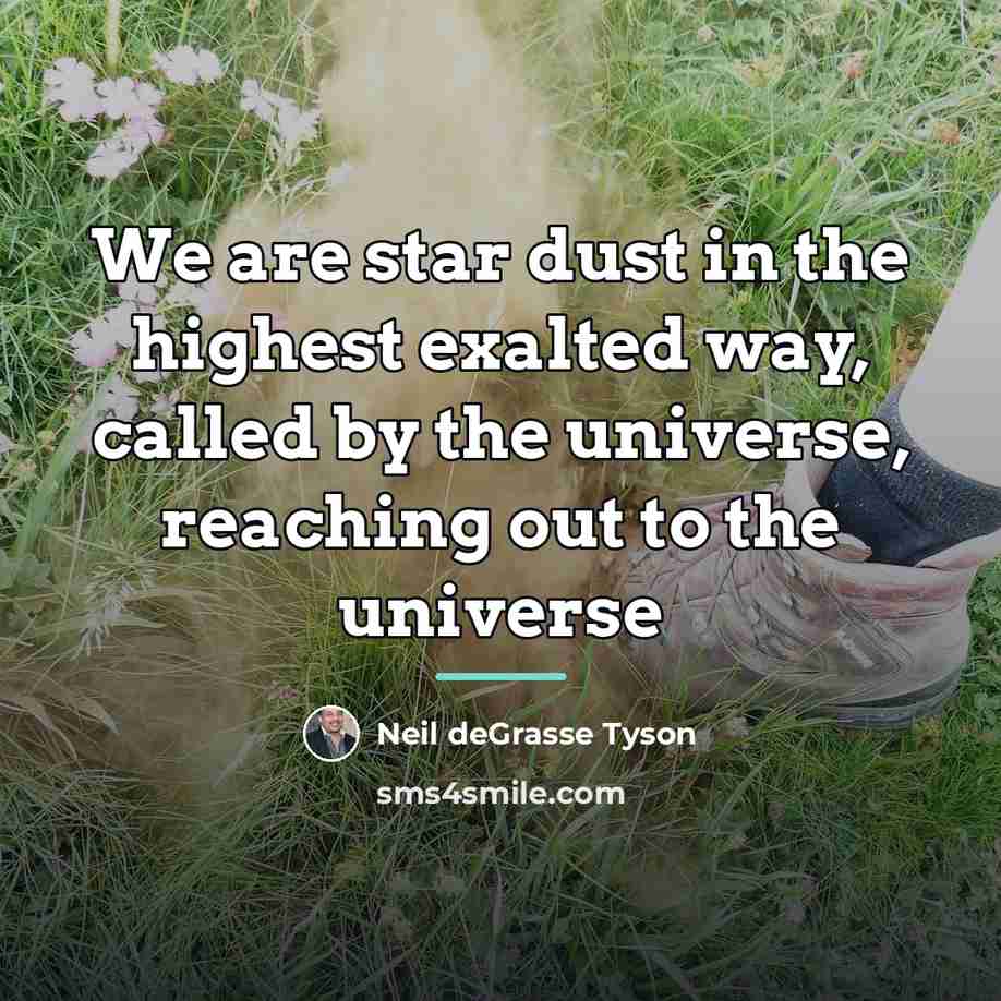 “We are star dust in the highest exalted way, called…” quote by Neil deGrasse Tyson