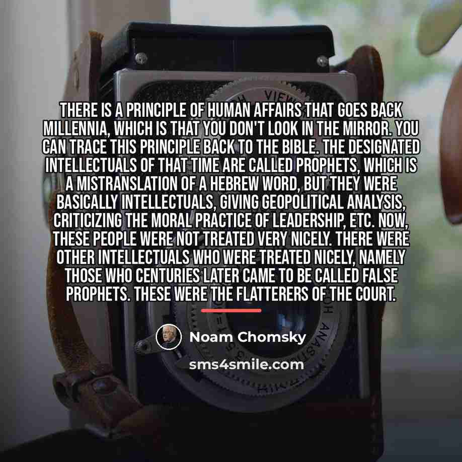 “There is a principle of human affairs that goes back…” quote by Noam Chomsky