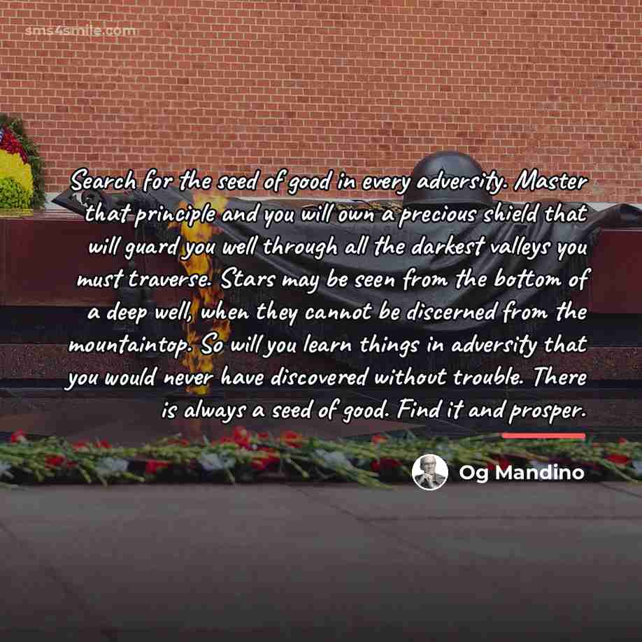 “Search for the seed of good in every adversity. Master…” quote by Og Mandino