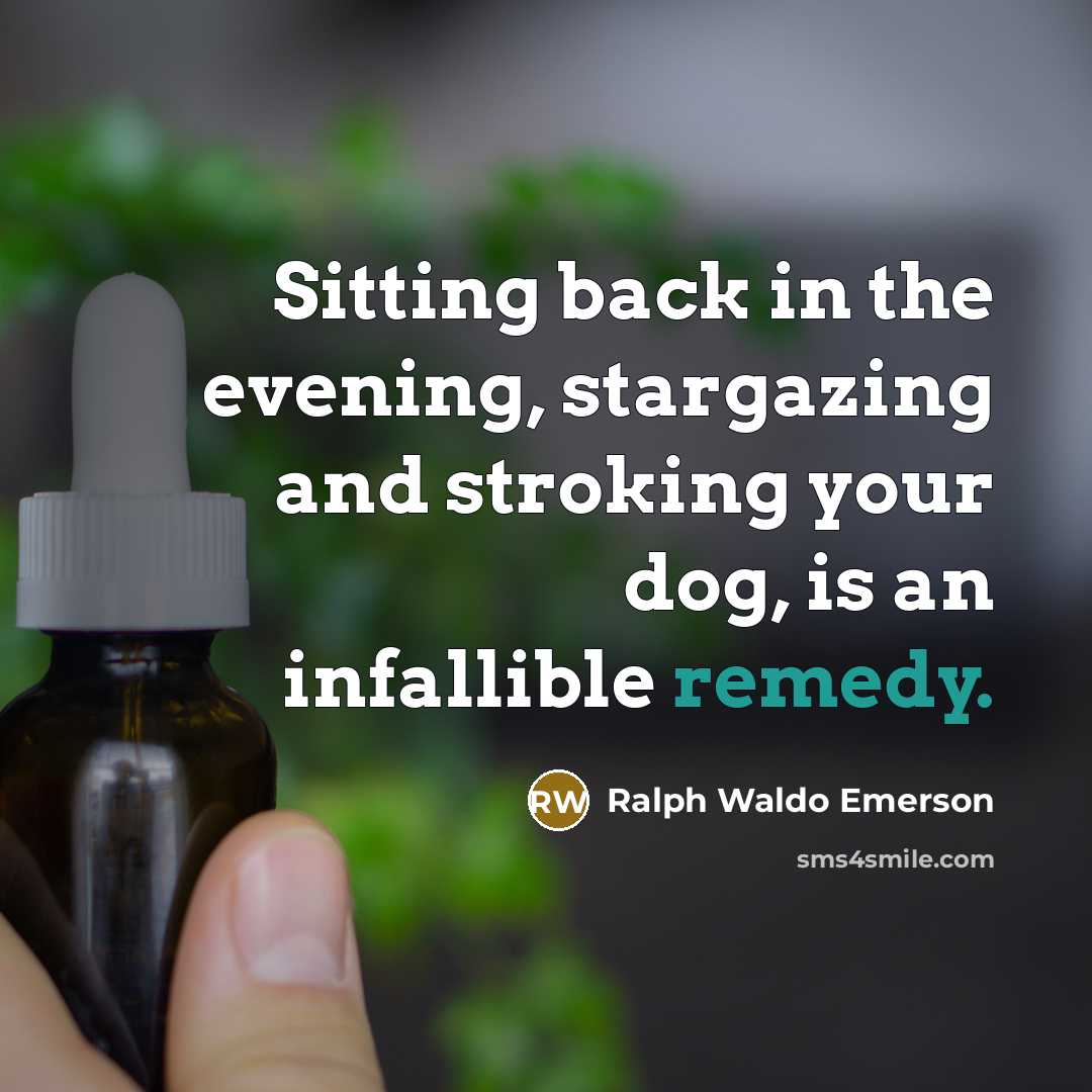 “Sitting back in the evening, stargazing and stroking your dog,…” quote by Ralph Waldo Emerson