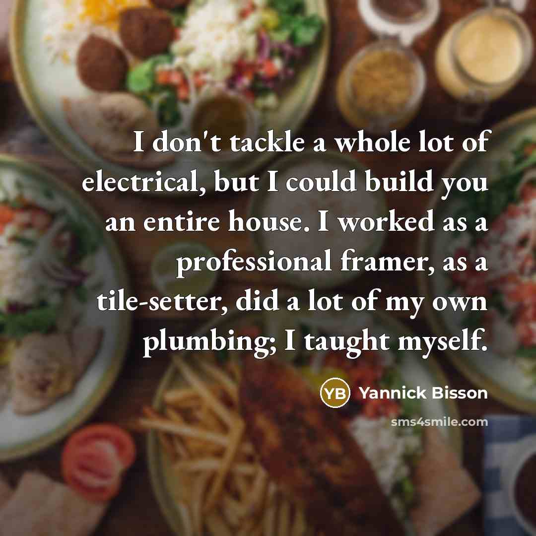 “I don't tackle a whole lot of electrical, but I…” quote by Yannick Bisson