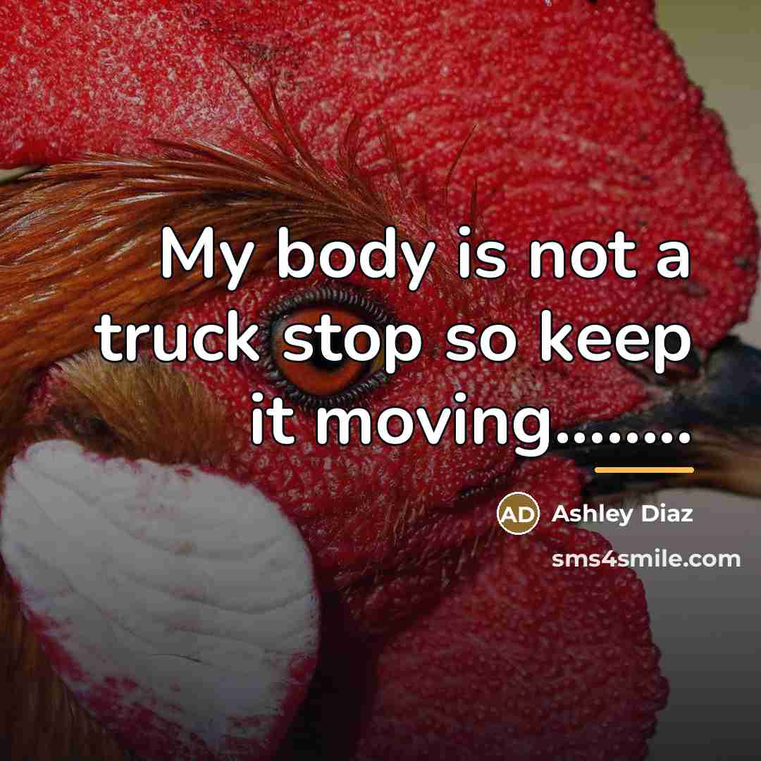 “My body is not a truck stop so keep it…” quote by Ashley Diaz