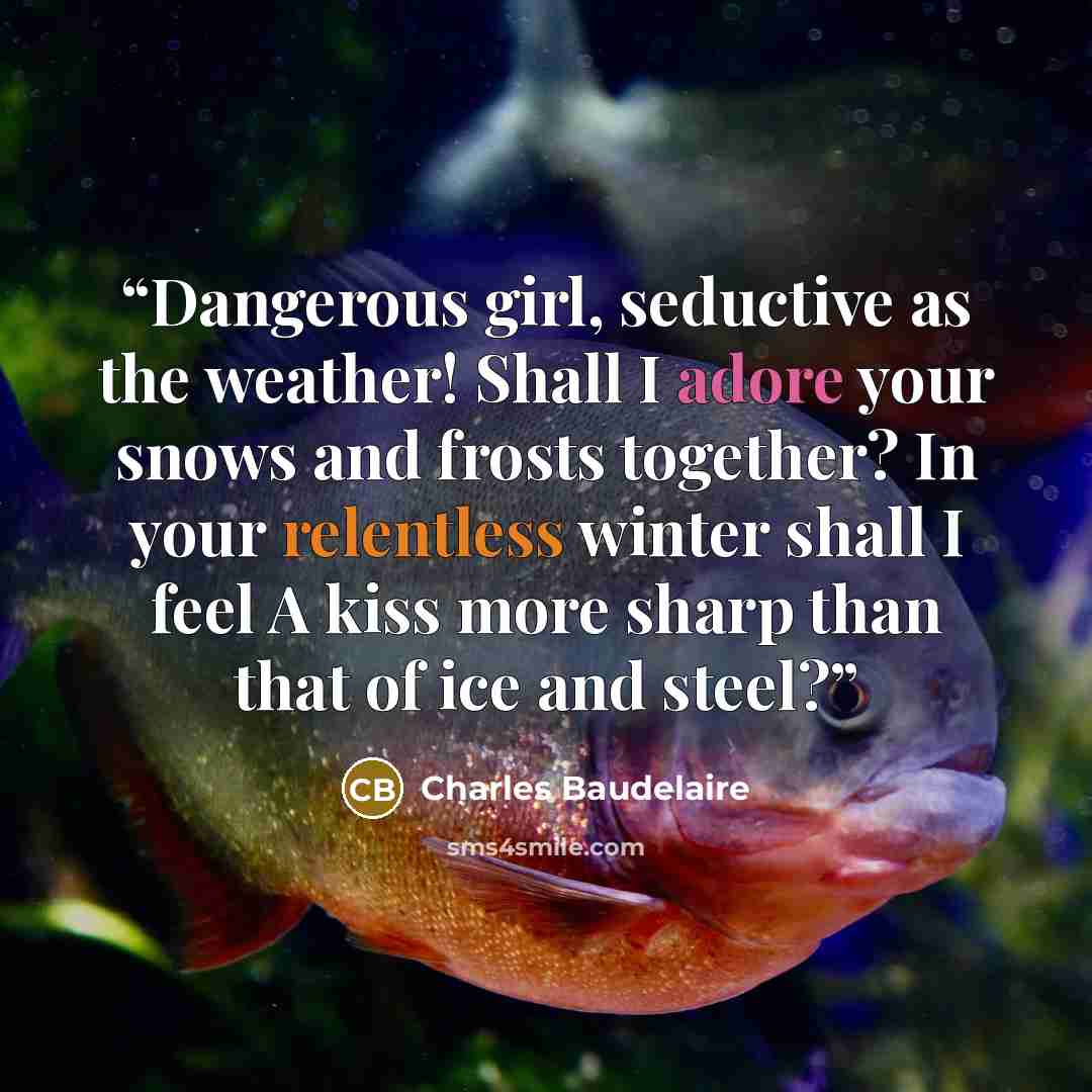 “Dangerous girl, seductive as the weather! Shall I adore your snows and frosts together? In your relentless winter shall I feel A kiss more sharp than that of ice and steel?” quote by Charles Baudelaire