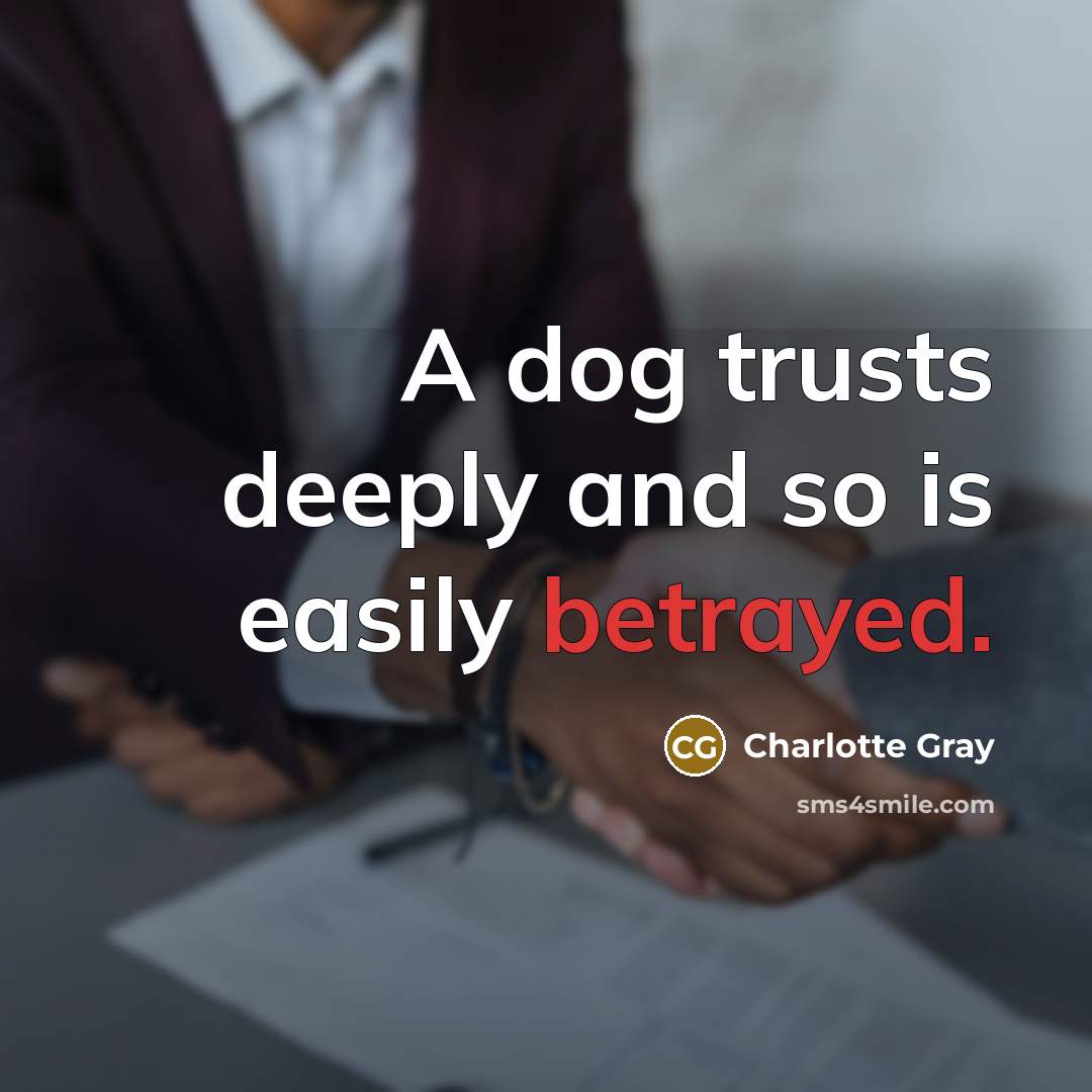 “A dog trusts deeply and so is easily betrayed.…” quote by Charlotte Gray