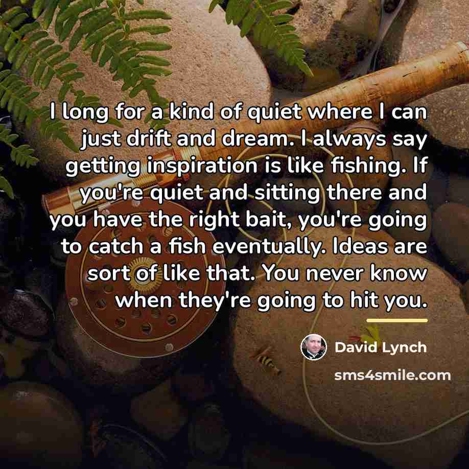 “I long for a kind of quiet where I can…” quote by David Lynch