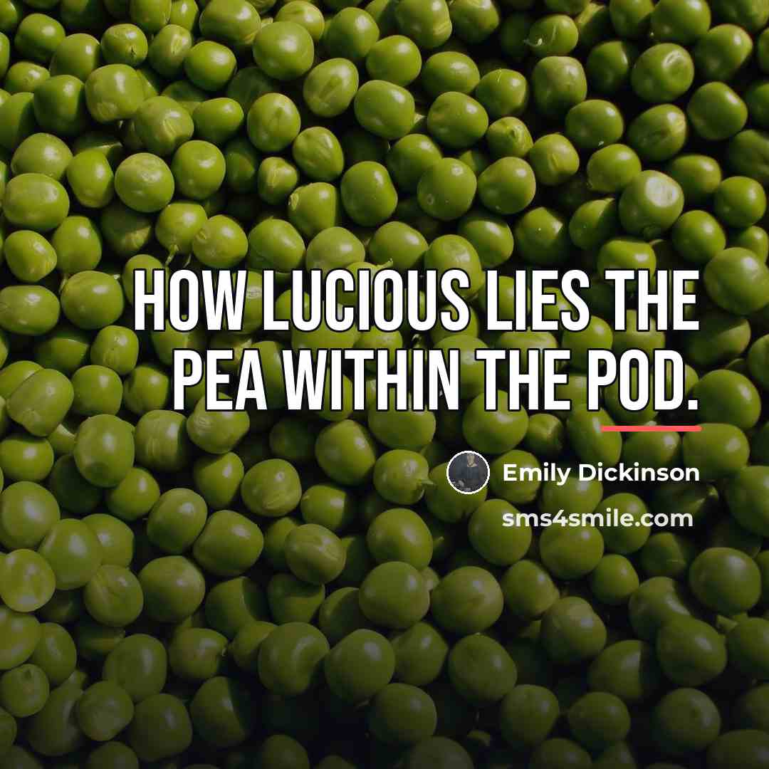 “How lucious lies the pea within the pod.…” quote by Emily Dickinson