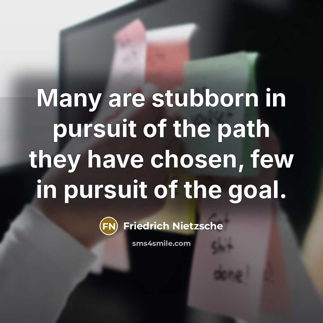 “Many are stubborn in pursuit of the path they have…” quote by Friedrich Nietzsche
