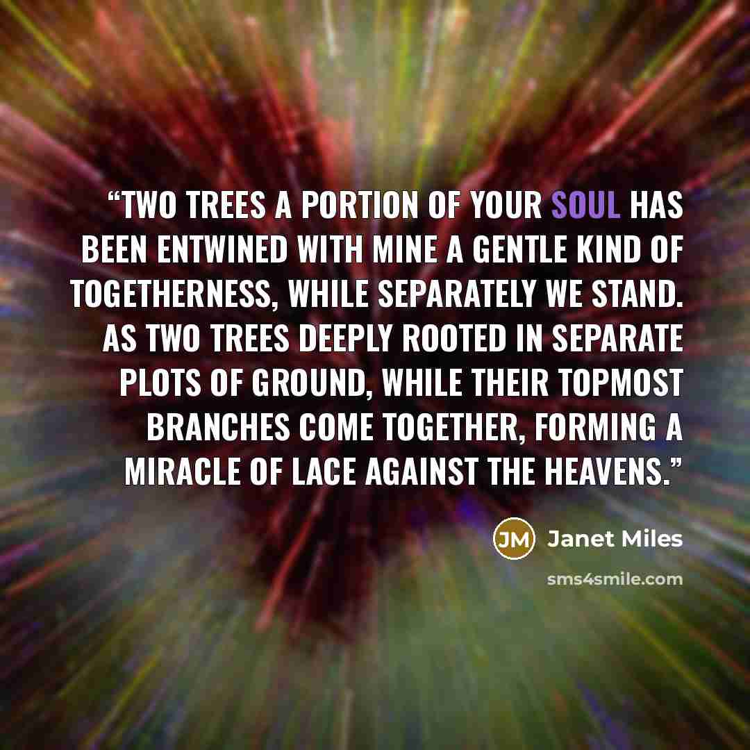 “Two Trees A portion of your soul has been entwined with mine A gentle kind of togetherness, while separately we stand. As two trees deeply rooted in separate plots of ground, While their topmost branches come together, Forming a miracle of lace against the heavens.” quote by Janet Miles