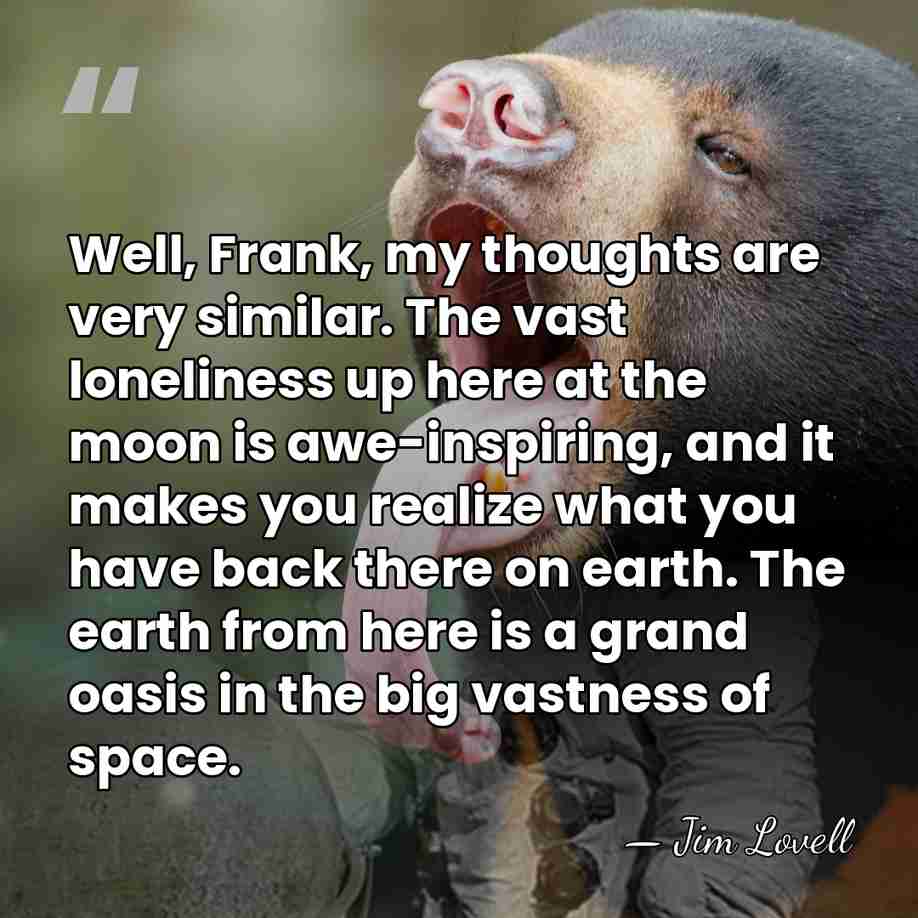 Well, Frank, my thoughts are very similar. The vast loneliness up here&hellip; - Jim Lovell
