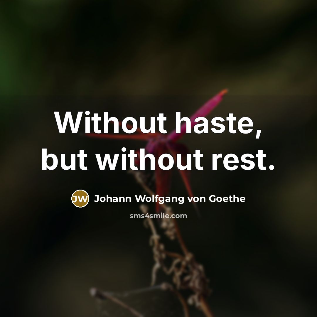 “Without haste, but without rest.” quote by Johann Wolfgang Von Goethe