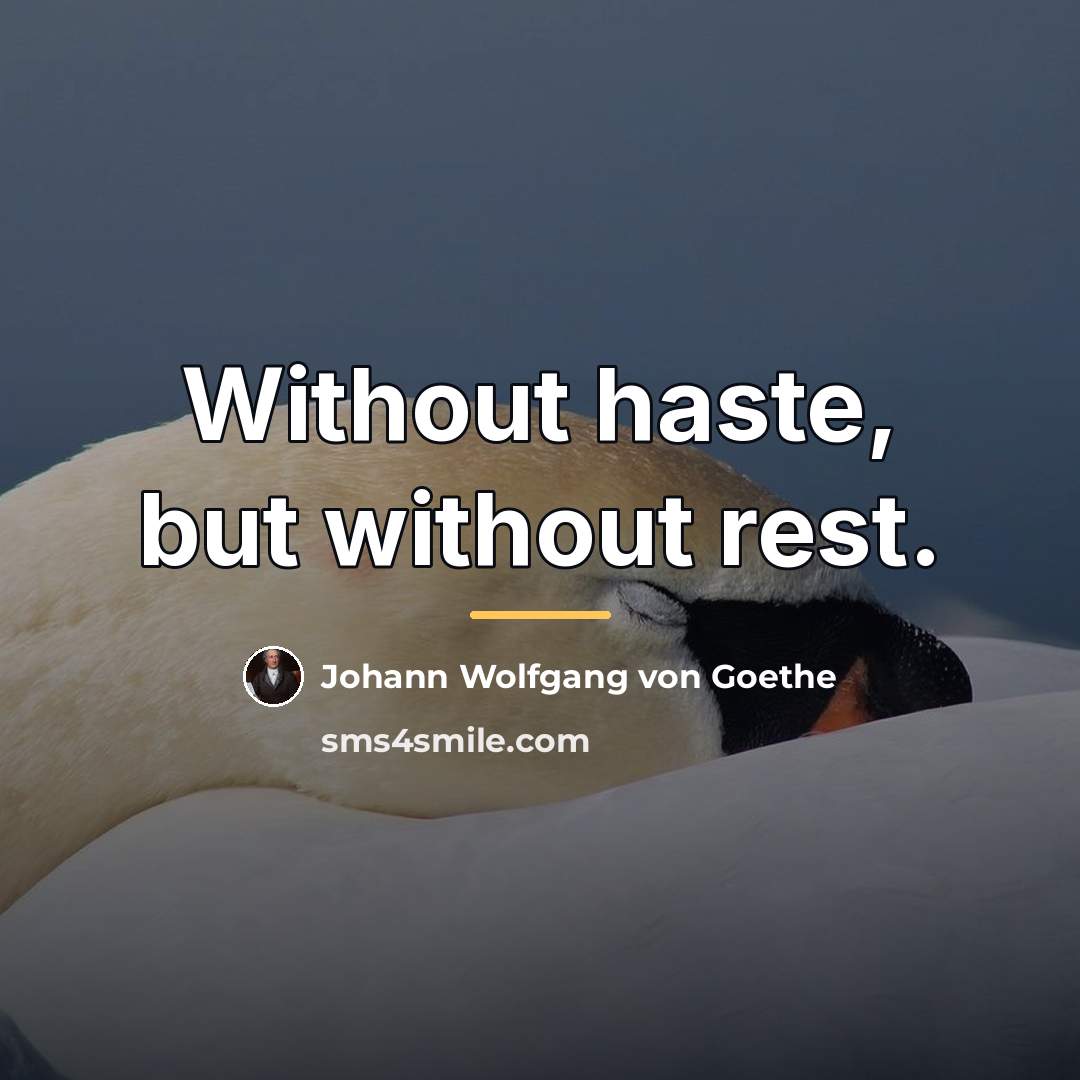 “Without haste, but without rest.…” quote by Johann Wolfgang Von Goethe