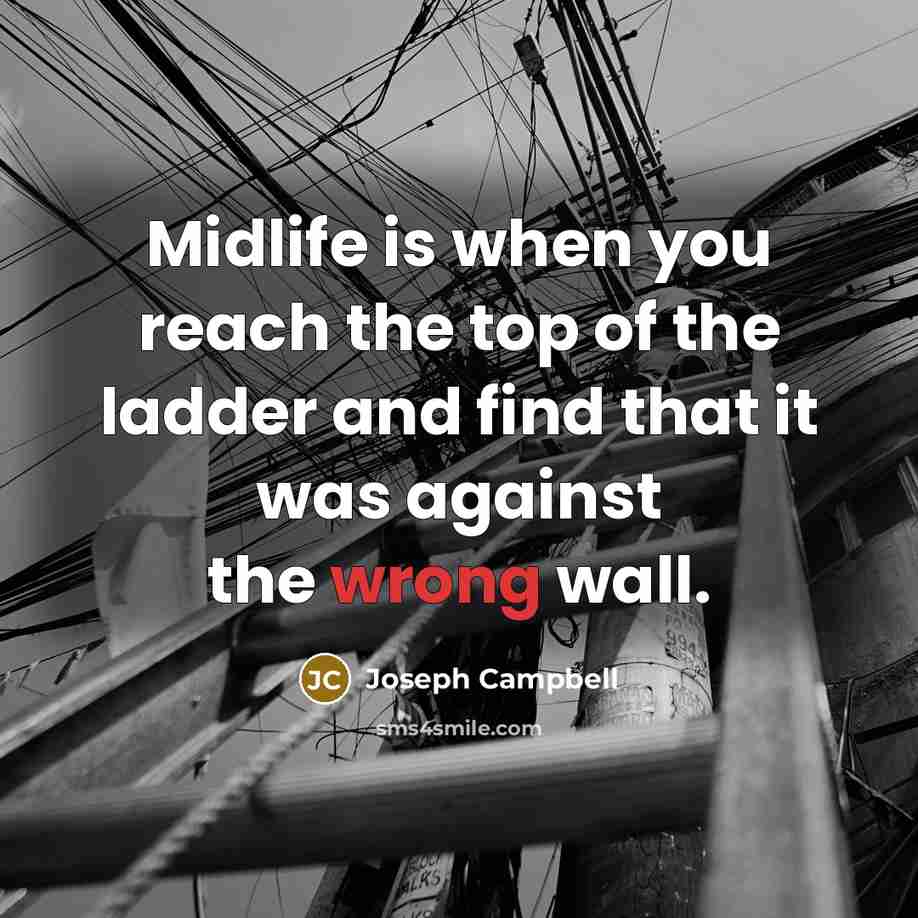 “Midlife is when you reach the top of the ladder…” quote by Joseph Campbell