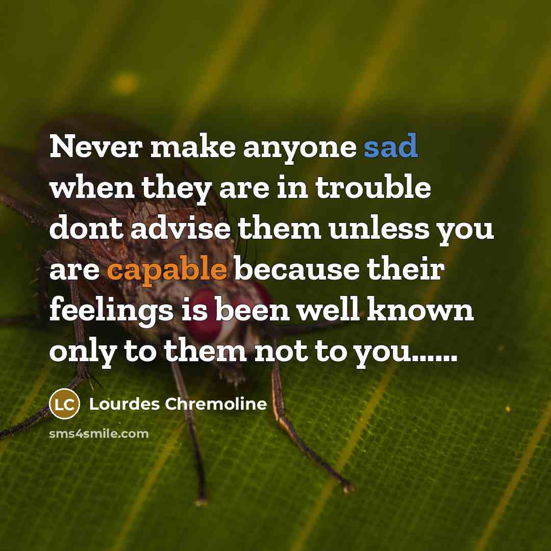 “Never make anyone sad when they are in trouble dont advise them unless you are capable because their feelings is been well known only to them not to you……” quote by Lourdes Chremoline