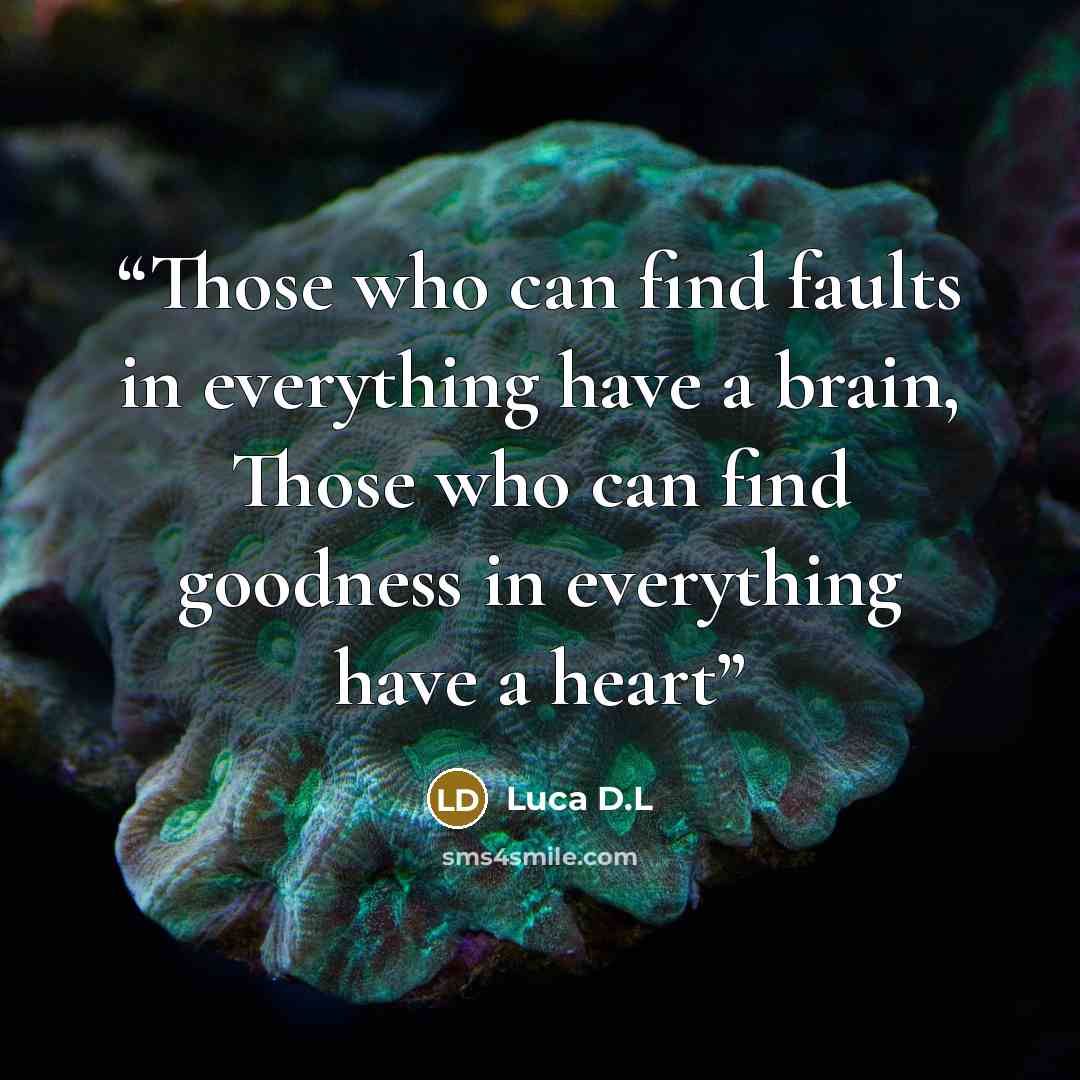 “Those who can find faults in everything have a brain, Those who can find goodness in everything have a heart” quote by Luca D.L
