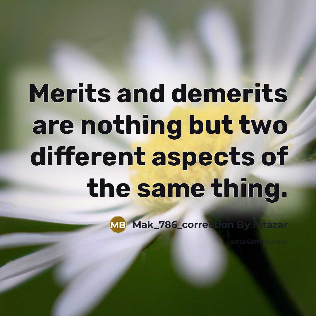 “Merits and demerits are nothing but two different aspects of the same thing.” quote by Mak_786_correction By Intazar