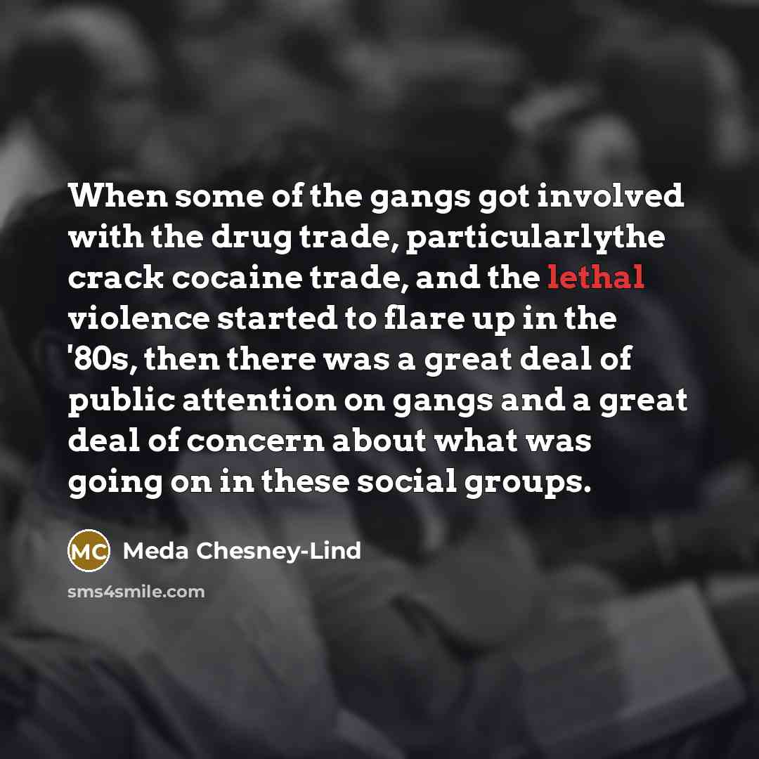 “When some of the gangs got involved with the drug…” quote by Meda Chesney-Lind