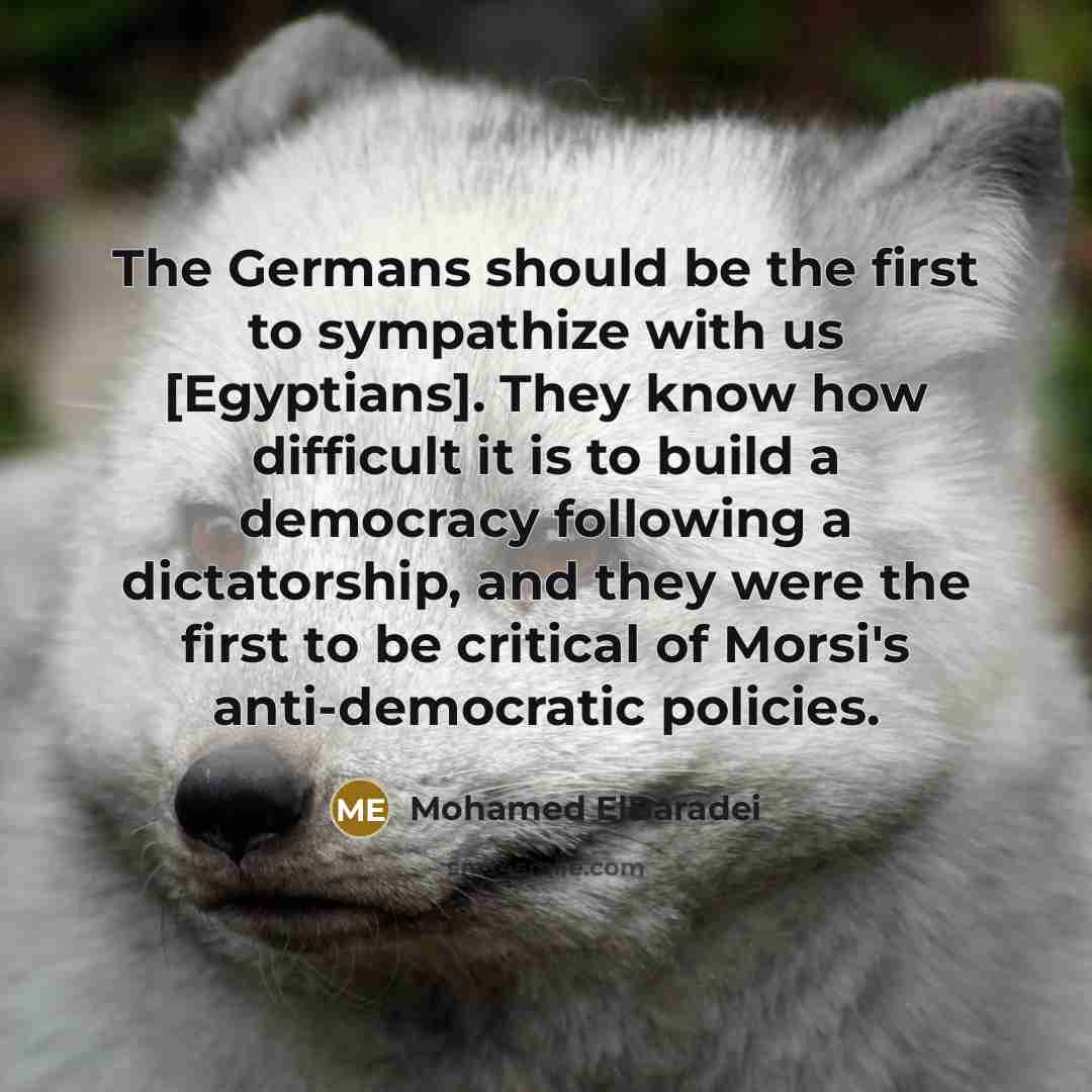 “The Germans should be the first to sympathize with us…” quote by Mohamed ElBaradei