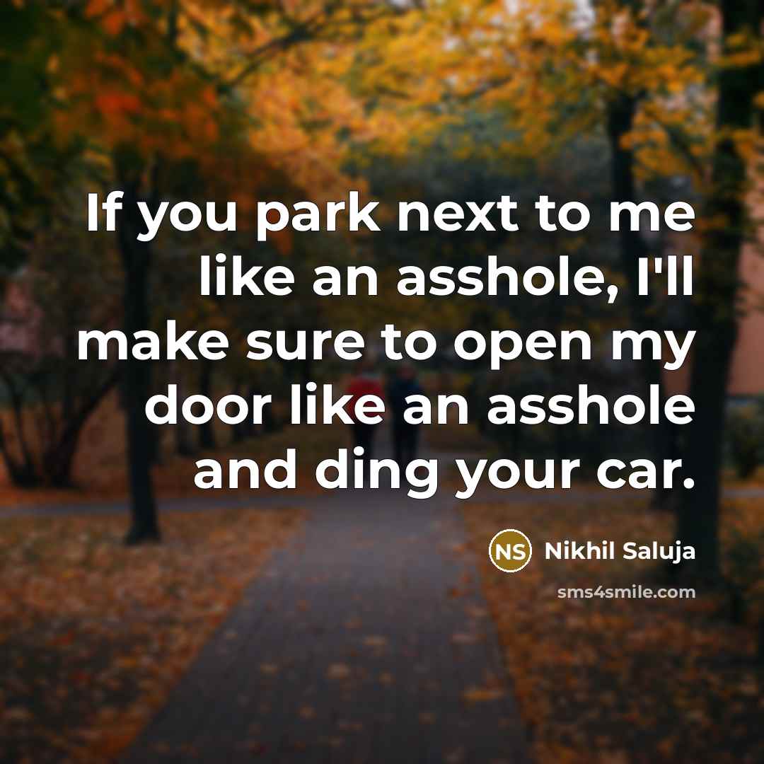 “If you park next to me like an asshole, I'll…” quote by Nikhil Saluja