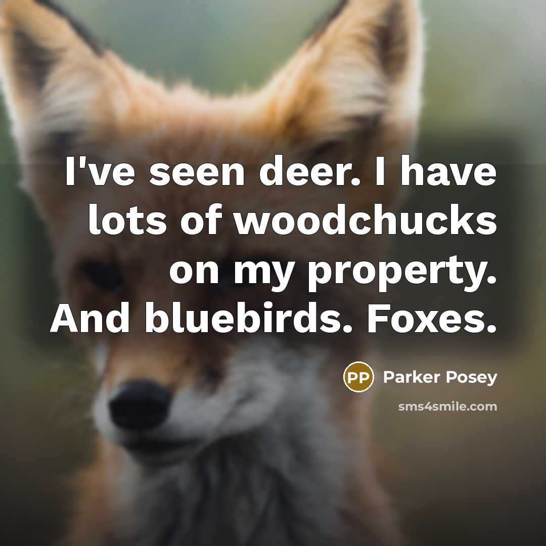 “I've seen deer. I have lots of woodchucks on my…” quote by Parker Posey