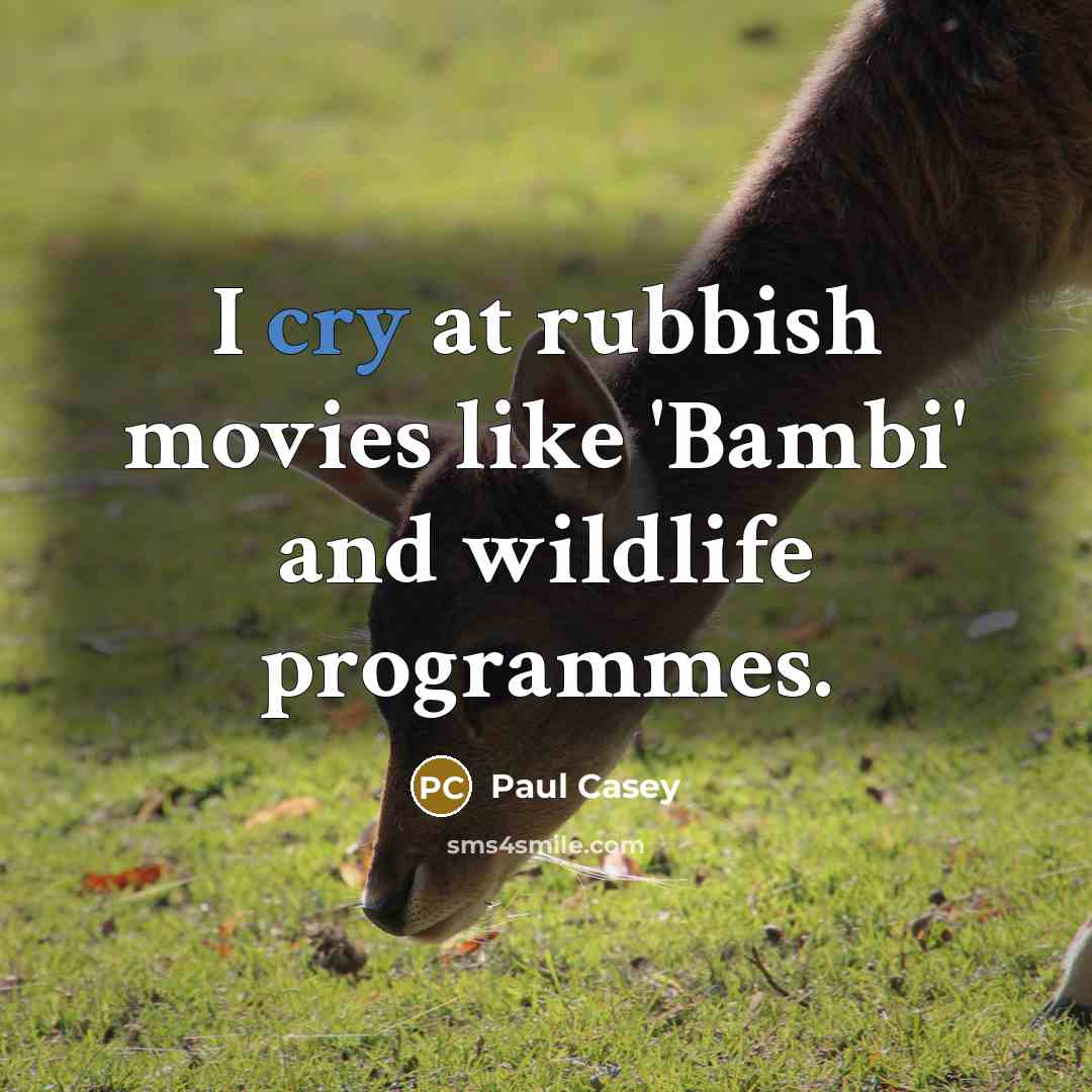“I cry at rubbish movies like 'Bambi' and wildlife programmes.…” quote by Paul Casey