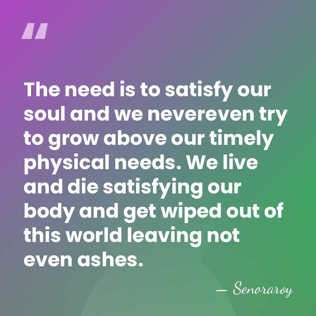 The need is to satisfy our soul and we nevereven try to&hellip; - Senoraroy