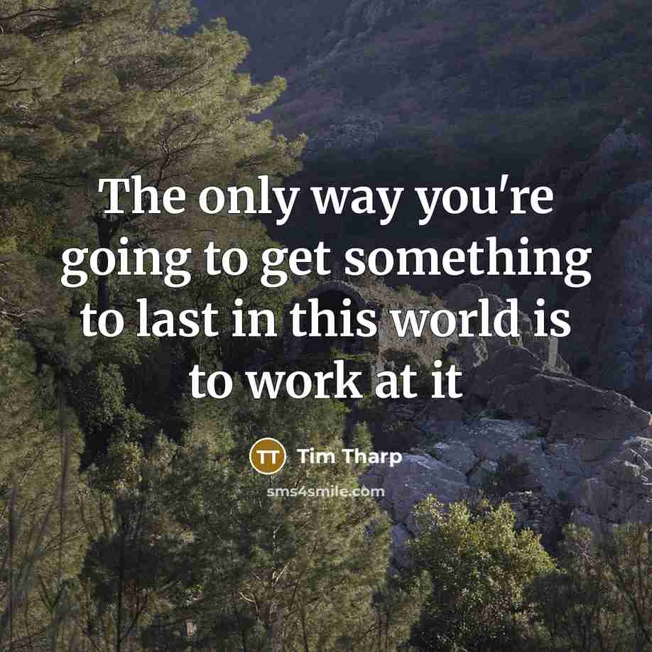“The only way you're going to get something to last in this world is to work at it” quote by Tim Tharp