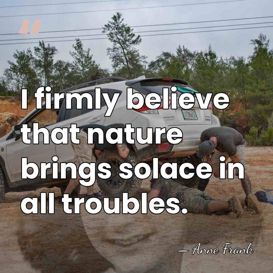 I firmly believe that nature brings solace in all troubles. - Anne Frank