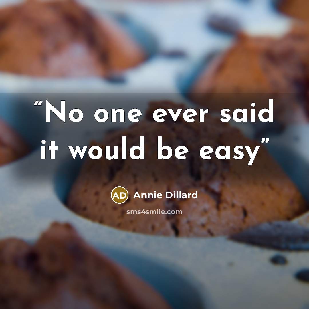 “No one ever said it would be easy” quote by Annie Dillard