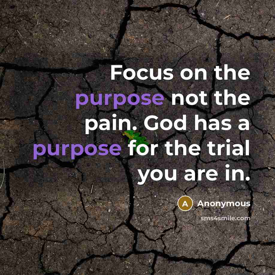 “Focus on the purpose not the pain. God has a…” quote by Anonymous