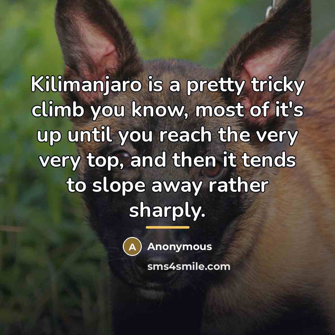 “Kilimanjaro is a pretty tricky climb you know, most of…” quote by Anonymous