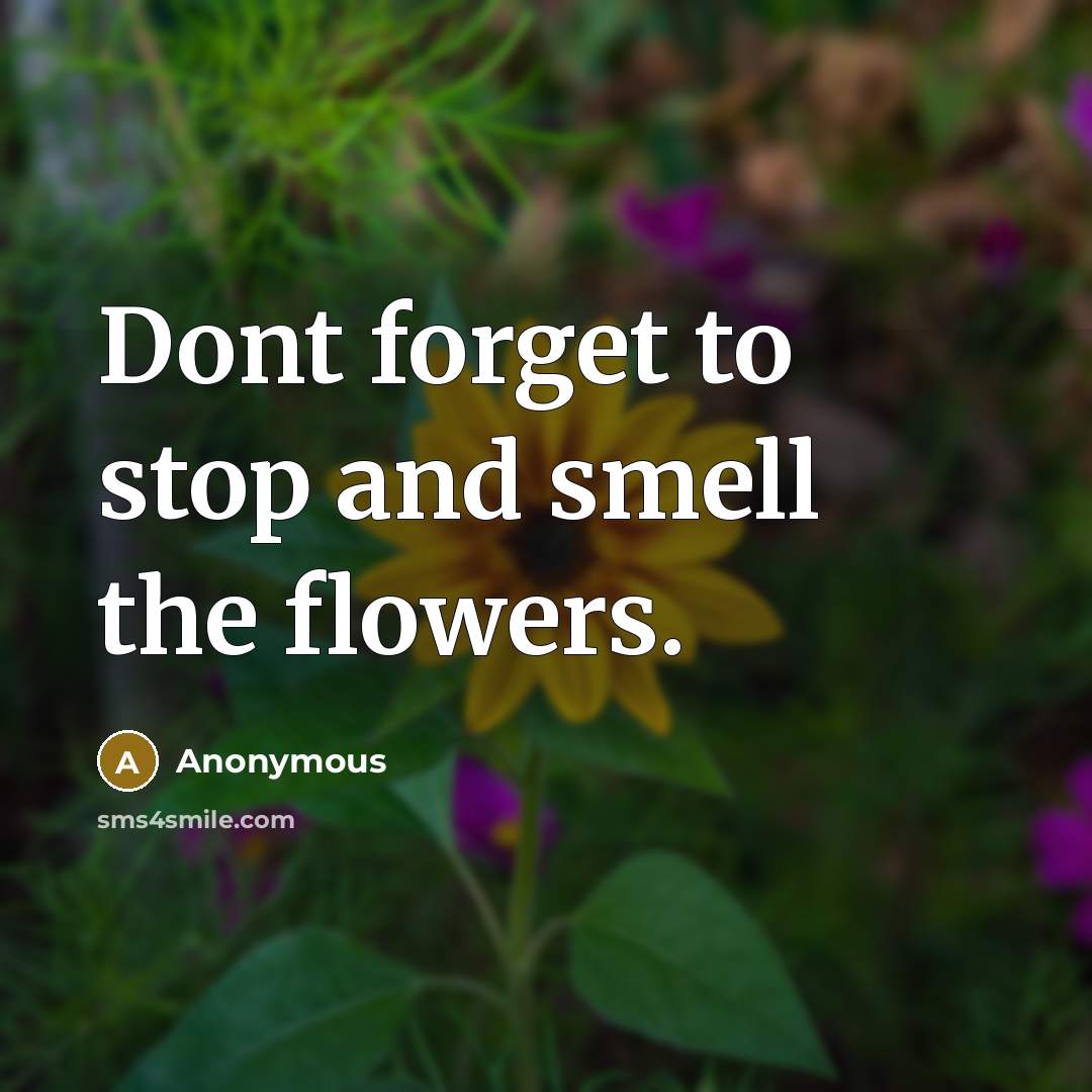 “Dont forget to stop and smell the flowers.” quote by Anonymous