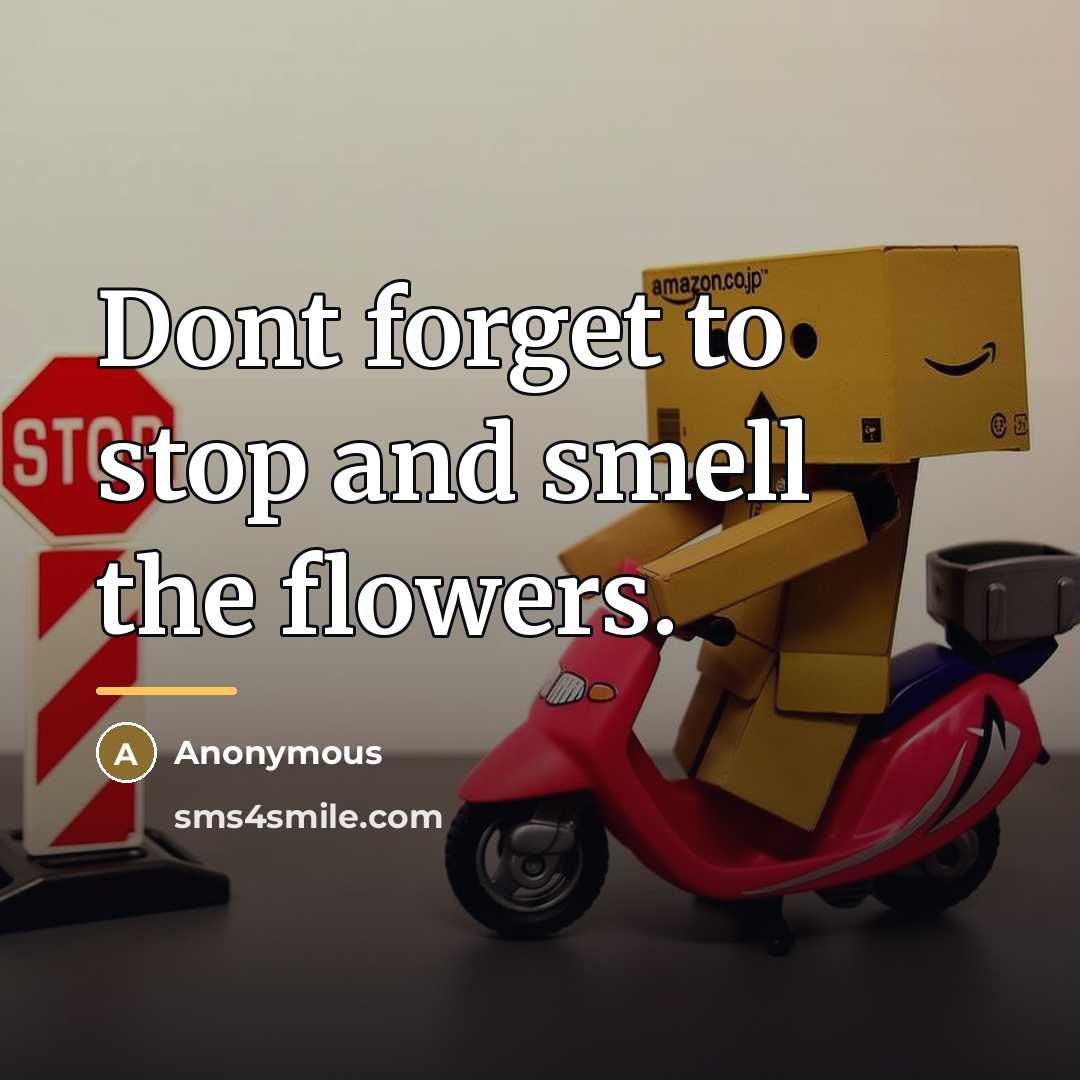 “Dont forget to stop and smell the flowers.…” quote by Anonymous
