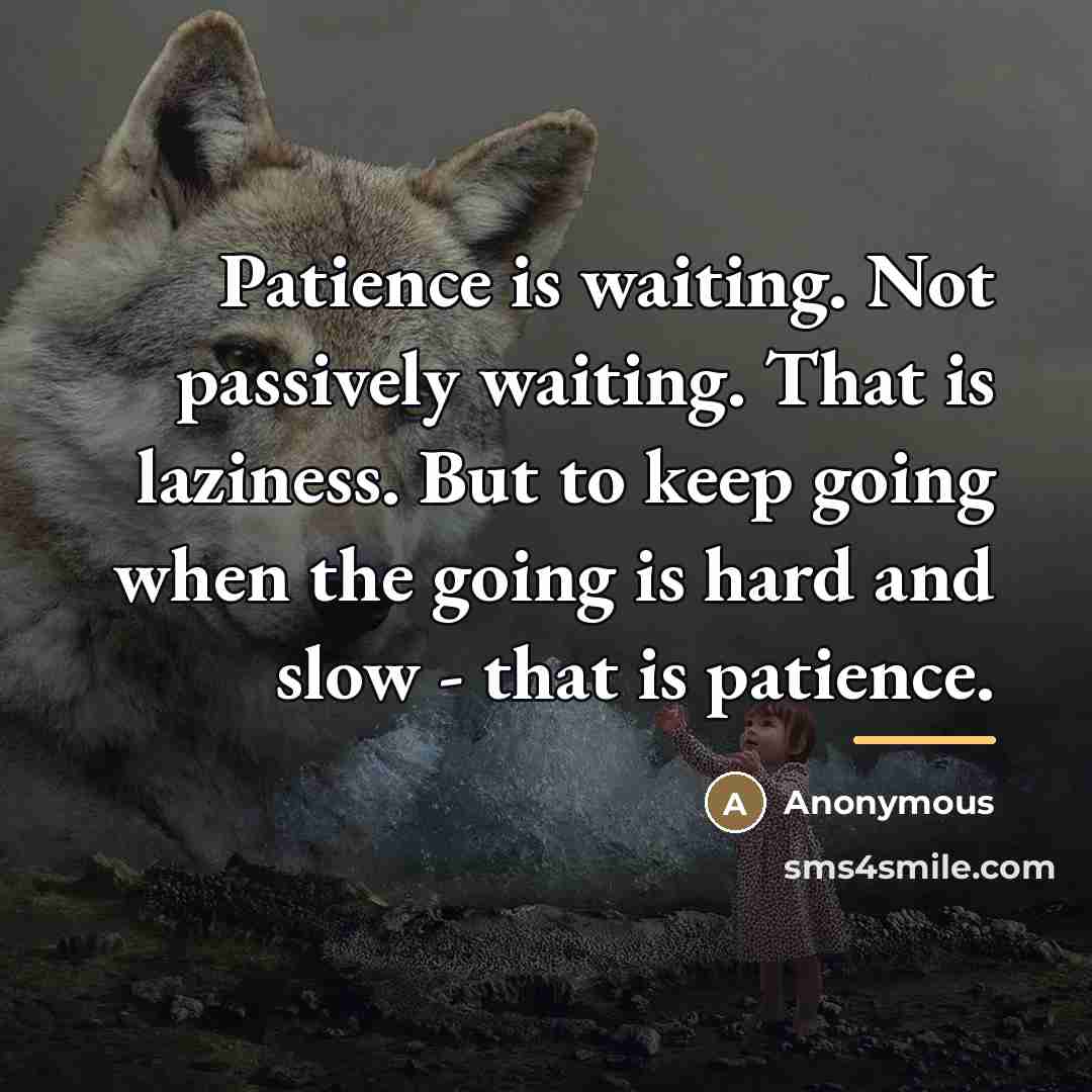 “Patience is waiting. Not passively waiting. That is laziness. But…” quote by Anonymous
