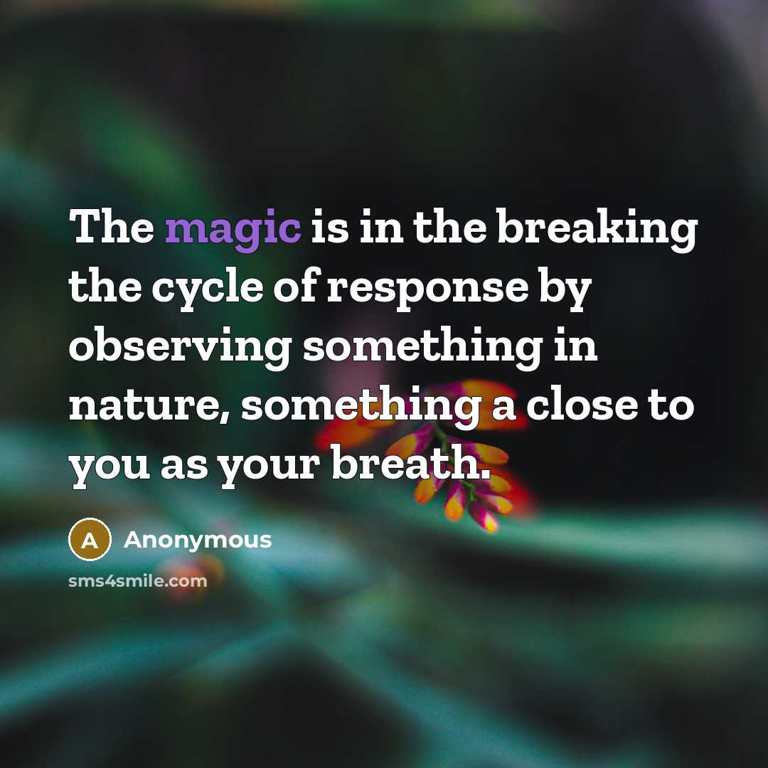 “The magic is in the breaking the cycle of response…” quote by Anonymous