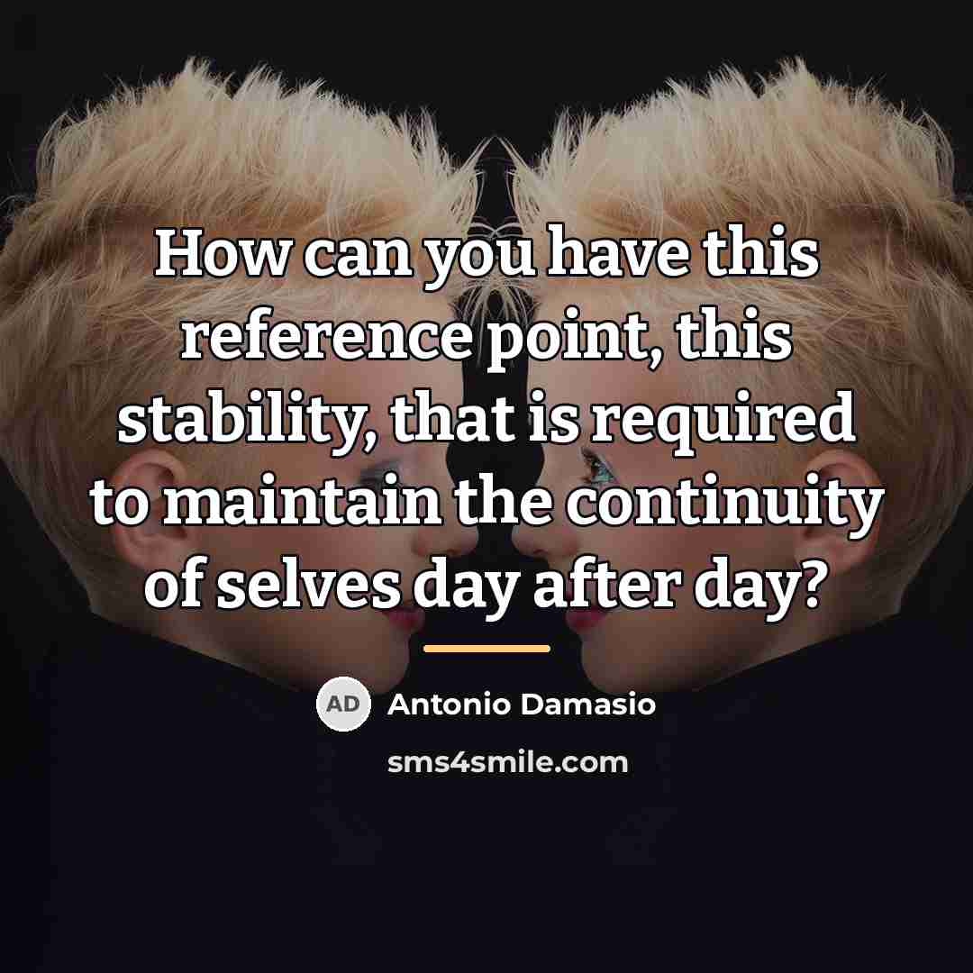 “How can you have this reference point, this stability, that…” quote by Antonio Damasio