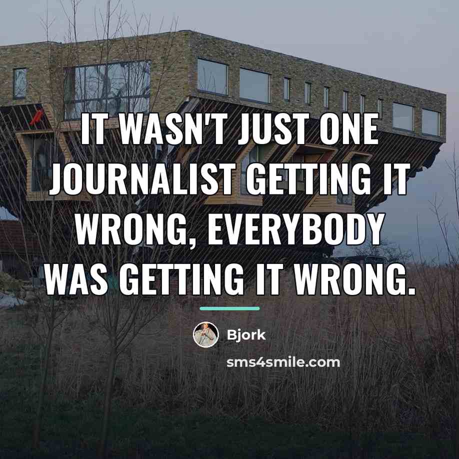“It wasn't just one journalist getting it wrong, everybody was…” quote by Bjork