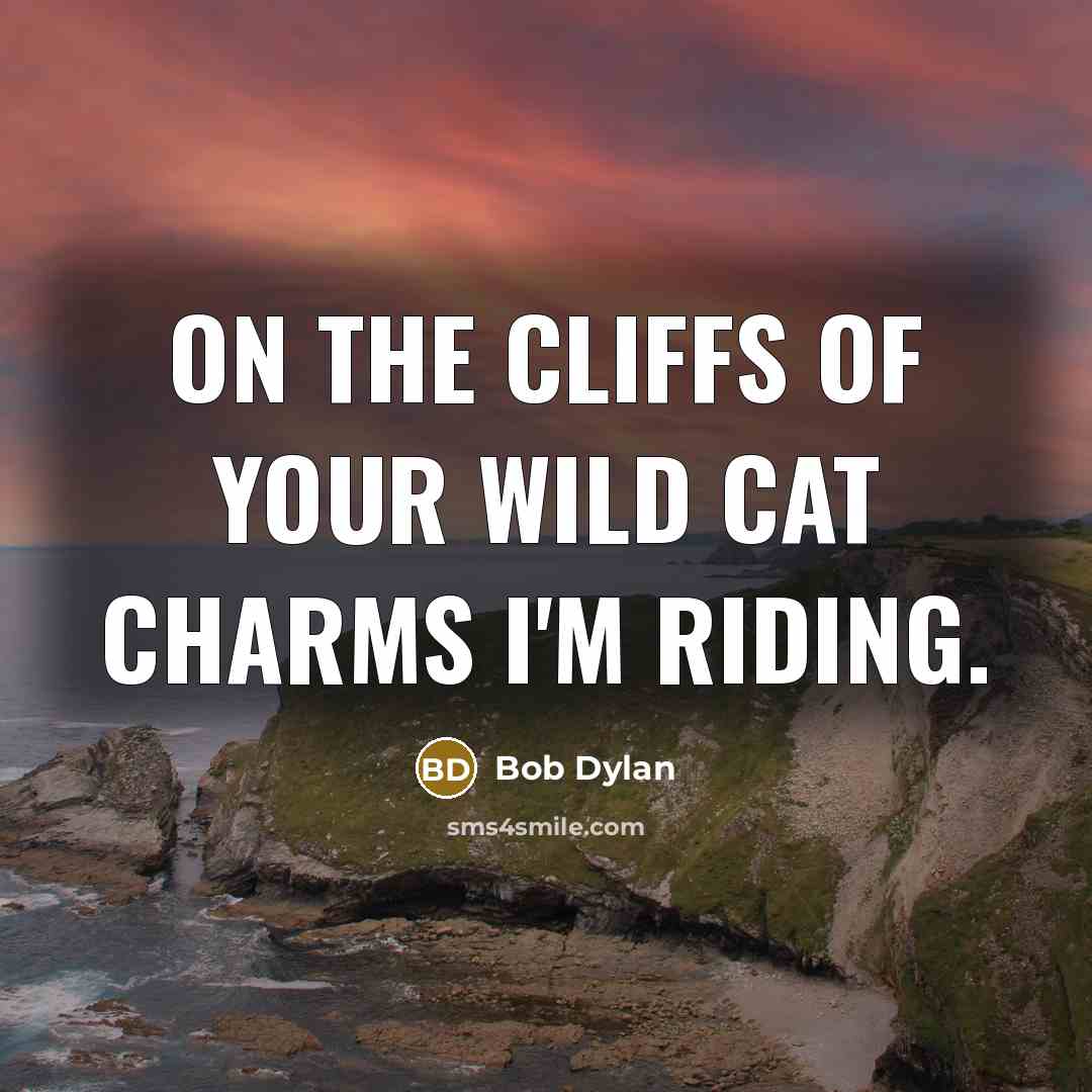 “On the cliffs of your wild cat charms I'm riding.…” quote by Bob Dylan