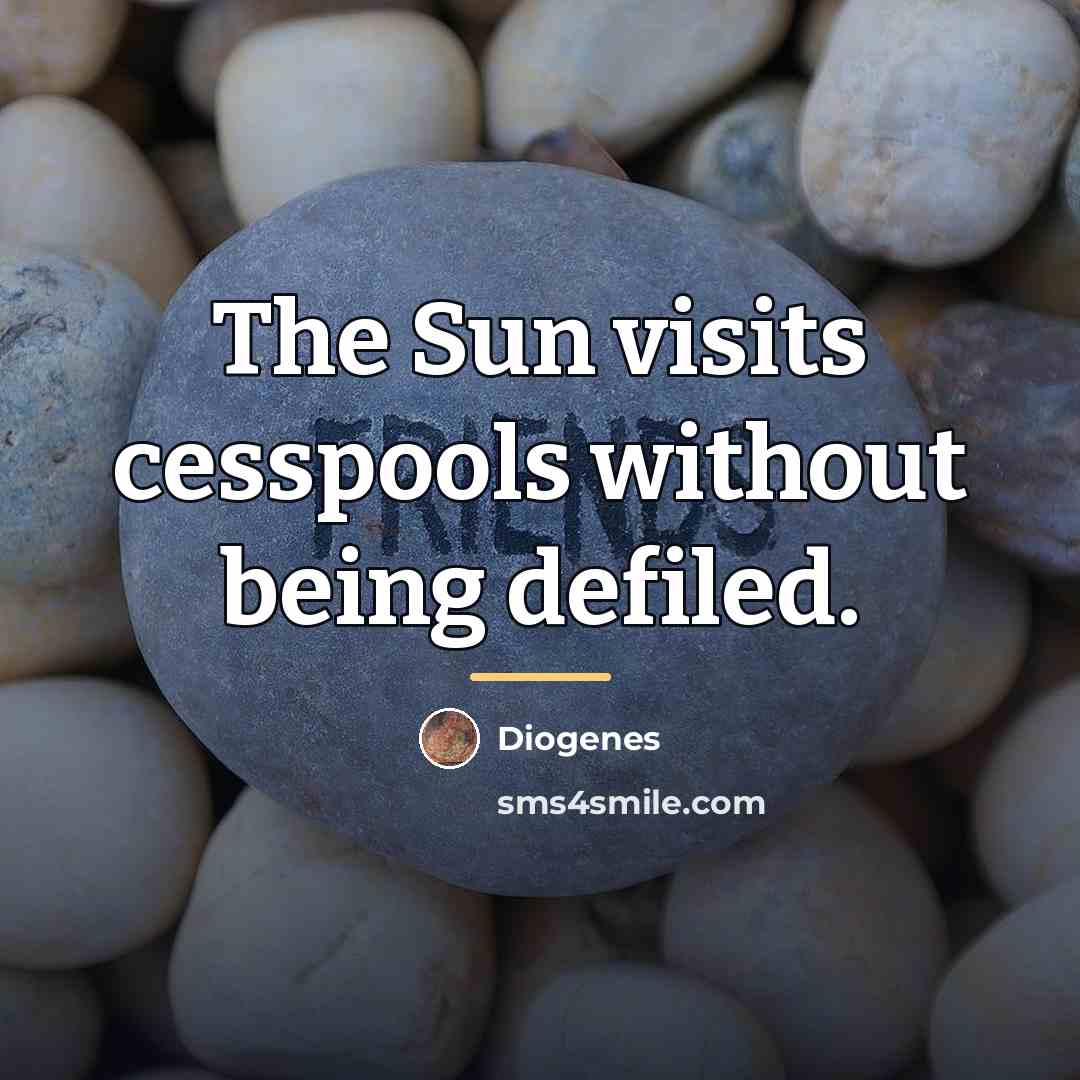 “The Sun visits cesspools without being defiled.…” quote by Diogenes