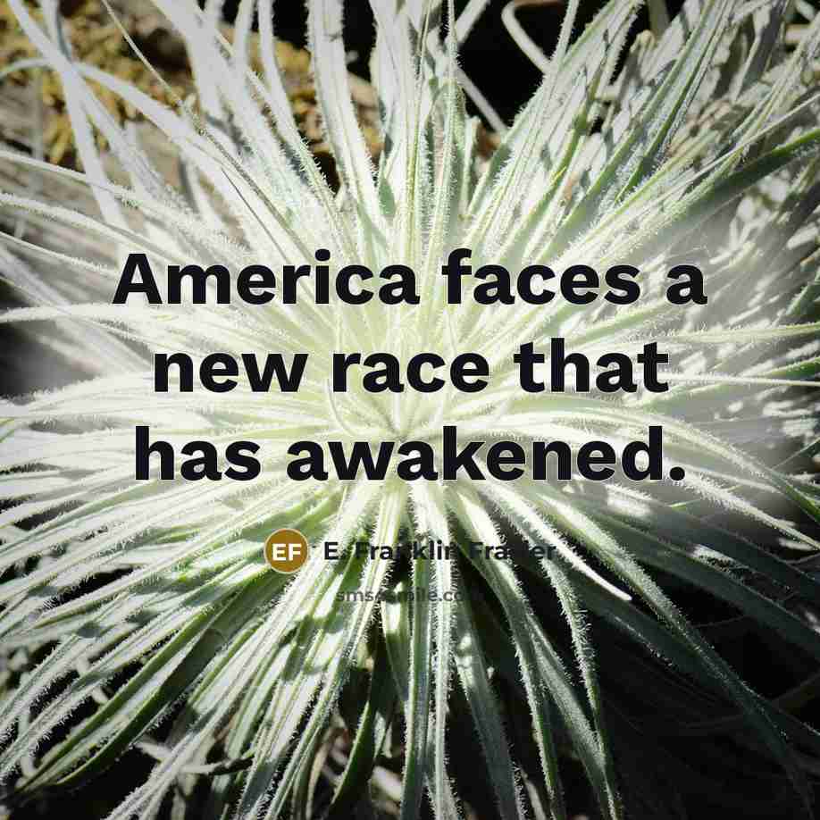 “America faces a new race that has awakened.…” quote by E. Franklin Frazier