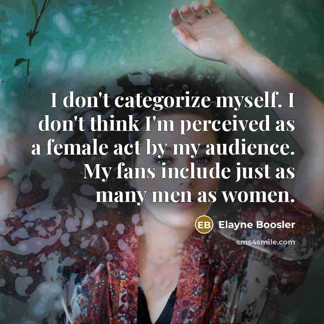 “I don't categorize myself. I don't think I'm perceived as…” quote by Elayne Boosler