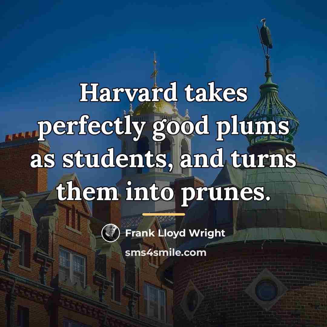 “Harvard takes perfectly good plums as students, and turns them…” quote by Frank Lloyd Wright