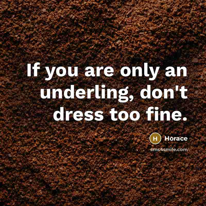 “If you are only an underling, don't dress too fine.…” quote by Horace