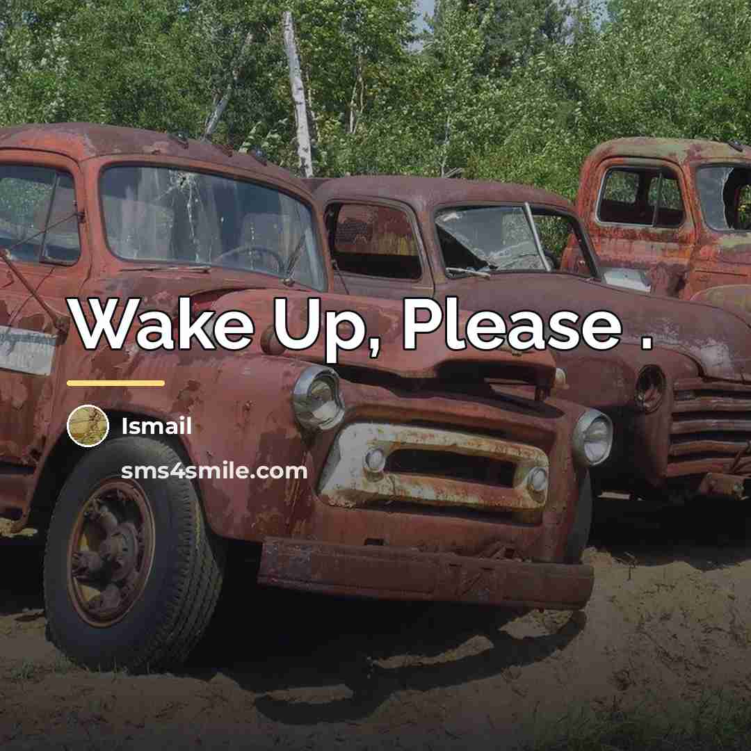 “Wake Up, Please .…” quote by Ismail