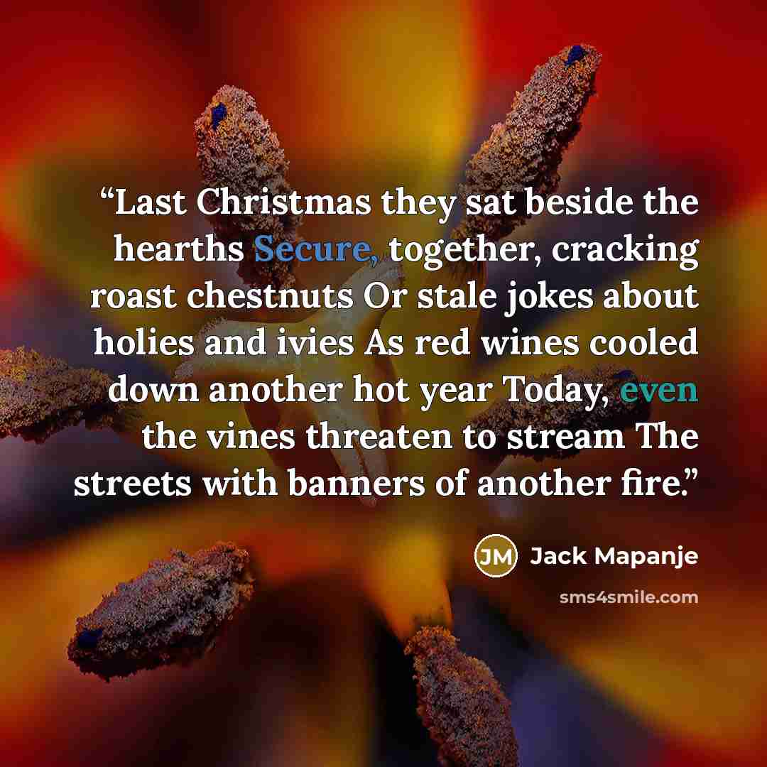 “Last Christmas they sat beside the hearths Secure, together, cracking roast chestnuts Or stale jokes about holies and ivies As red wines cooled down another hot year Today, even the vines threaten to stream The streets with banners of another fire.” quote by Jack Mapanje