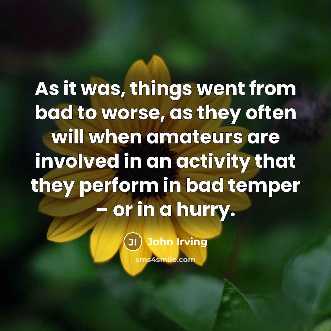 “As it was, things went from bad to worse, as they often will when amateurs are involved in an activity that they perform in bad temper – or in a hurry.” quote by John Irving