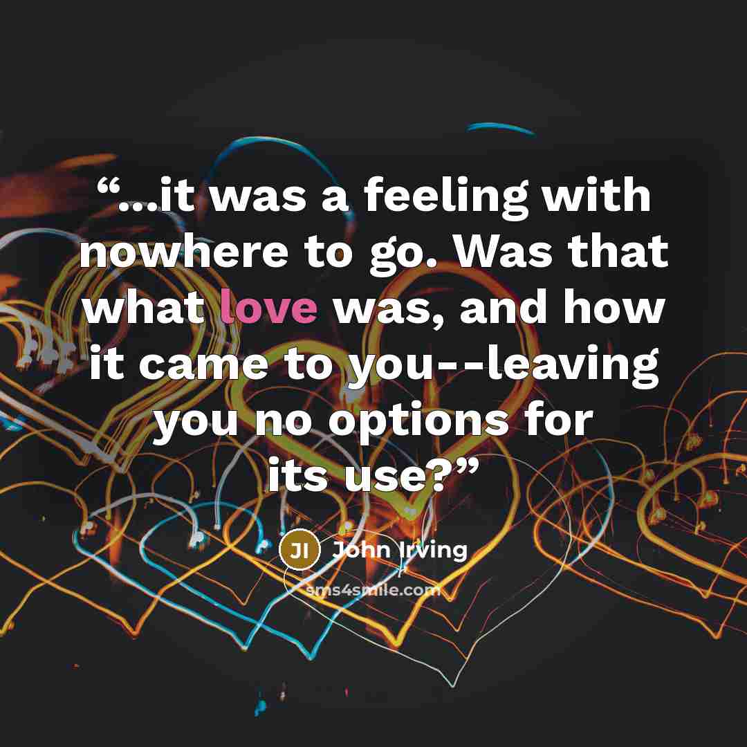 “...it was a feeling with nowhere to go. Was that what love was, and how it came to you--leaving you no options for its use?” quote by John Irving