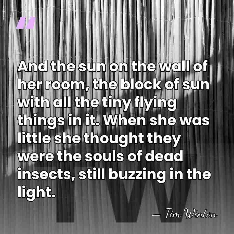 And the sun on the wall of her room, the block of&hellip; - Tim Winton