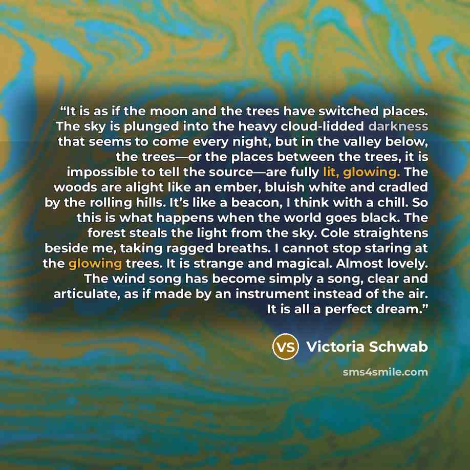 “It is as if the moon and the trees have switched places. The sky is plunged into the heavy cloud-lidded darkness that seems to come every night, but in the valley below, the trees—or the places between the trees, it is impossible to tell the source—are fully lit, glowing. The woods are alight like…” quote by Victoria Schwab